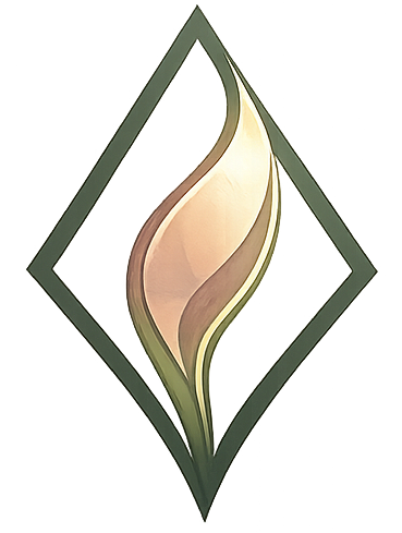 Stellar Designs Logo